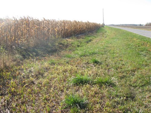 Property photo 1 - 65+/- Acres Offered in 2 Tracts